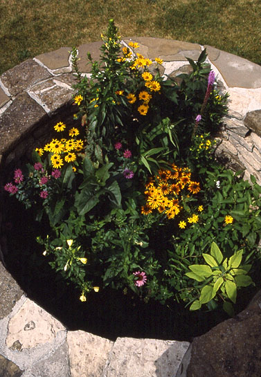 Captured & Escaped, 1995, detail (native wildflowers, well)