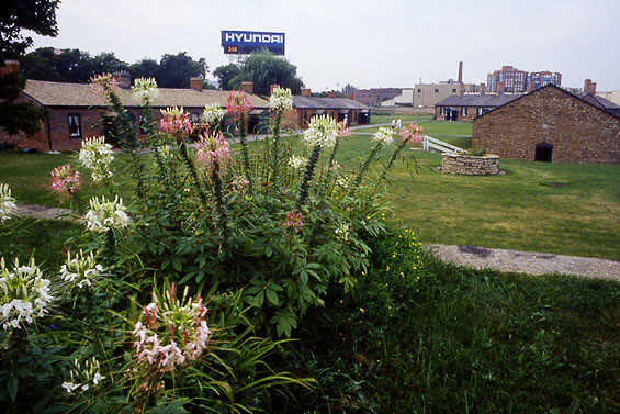 Captured & Escaped, 1995, detail (alien and native wildflowers, seed bags and cart)