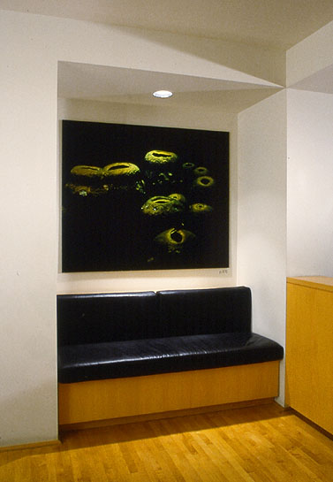 Like Ancient Pots spilled from a drowning ship, tube sponges bulge eerily …, 1993, detail (photograph of tube sponges at entrance to&nbsp;installation)