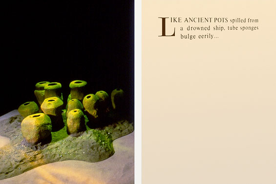 Like Ancient Pots spilled from a drowning ship, tube sponges bulge eerily …, 1993, detail (doorway to room, mixed media)