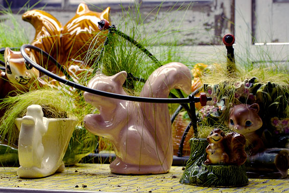 The Terrarium Project, 2006, detail (Alan Hébert greenhouse)