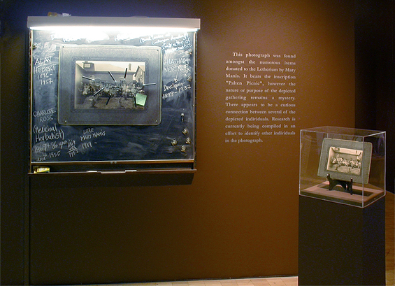 The Terrarium Project, 2006, detail (Alan Hébert greenhouse)