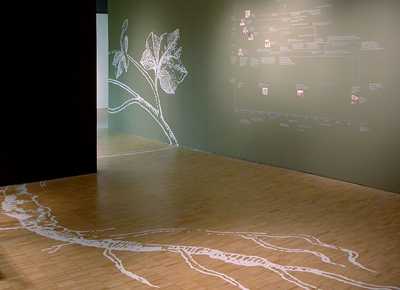 The Terrarium Project, 2006, detail (vine wall graphic)