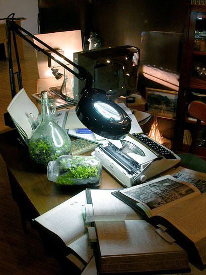 The Terrarium Project, 2006, detail (Mary Manis’ squirrel sculpture)