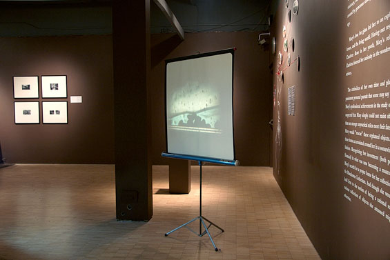 The Terrarium Project, 2006, detail (Mary Manis’ hydrology model projection)