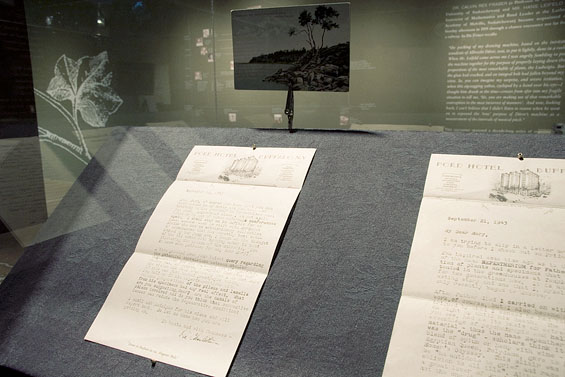 The Terrarium Project, 2006, detail (letters between Charlotte Ross and Mary Manis)