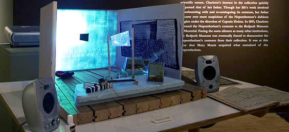 The Terrarium Project, 2006, detail (Dr. Fraser and Mr. Lieifeld story)
