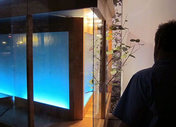 Vagabond Vitrine, 2010, side view to Cowbird display behind