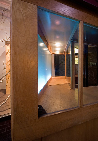 Vagabond Vitrine, 2010, shifting light patterns